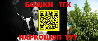 индика Пушкино