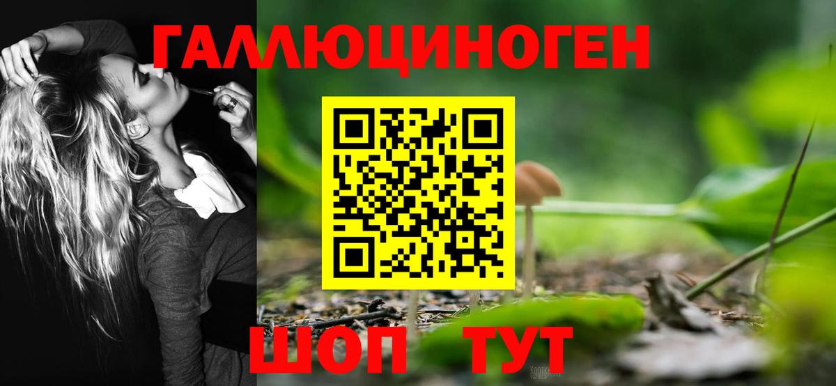 Петрозаводск  Галлюциногенные грибы Cubensis  Вход с VPN  Псилоцибиновые грибы Psilocybe 